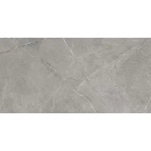 Obrazek Wermex Light Grey 59,8/119,8