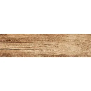 Obrazek Terakota Foresta Bronzo 15,5/60,5