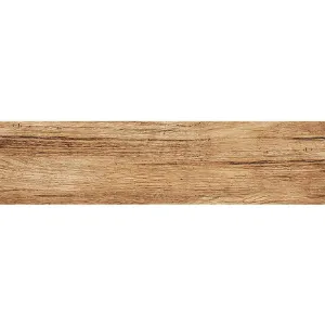 Obrazek Terakota Foresta Bronzo 15,5/60,5