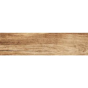 Obrazek Terakota Foresta Bronzo 15,5/60,5