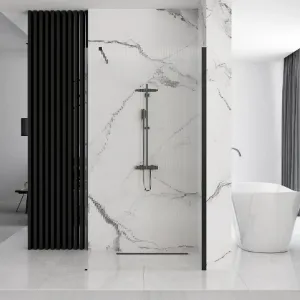 Obrazek Ścianka Walk-in Aero Intimo Rea K4121 100x200 black