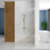 Obrazek Ścianka Walk-in Aero Intimo Rea K4126 100x200 gold brush