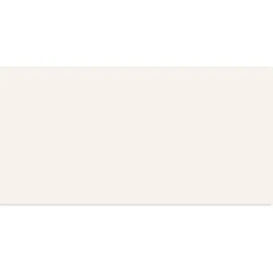 Obrazek Satini White Gloss  59,8/119,8