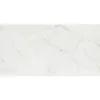 Obrazek Rainforest White Gloss 59,8/119,8