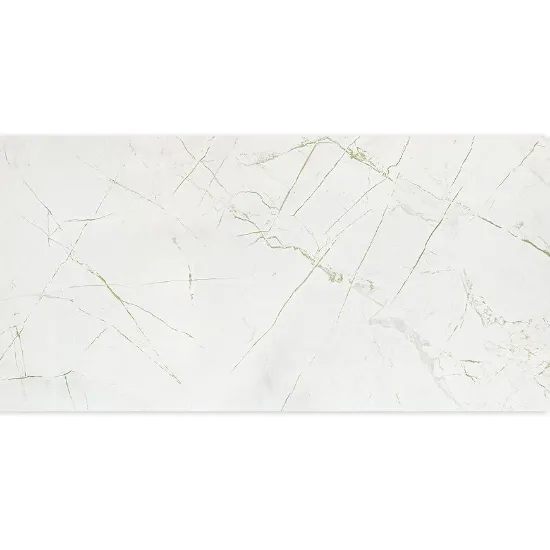 Obrazek Rainforest White Gloss 59,8/119,8