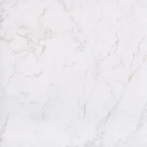 Obrazek Rochelle White 59,8/59,8