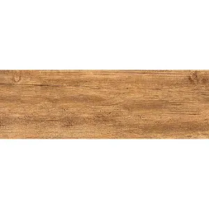 Obrazek Płytka Lemos Brown 20/60