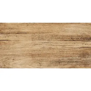 Obrazek Gres Foresta bronzo 30/60