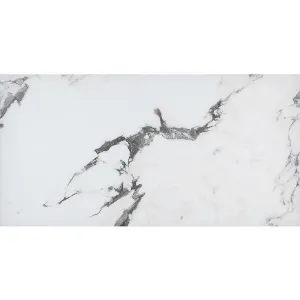 Obrazek Gres Koala White Pol. Rekt. 60/120