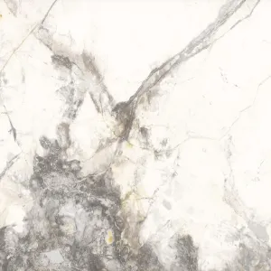 Obrazek Gres Pasionate Pol. Rekt. 60/60