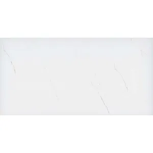 Obrazek Gres Snow Pol. Rekt. 60/120