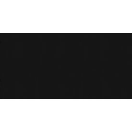 Obrazek Monolook Black Lappato 59,8/119,8