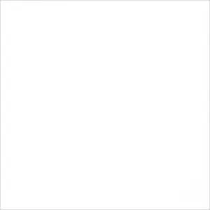 Obrazek Monolook White 59,8/59,8