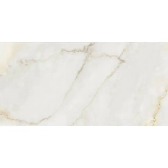 Obrazek Joy Gold CCR111-1 30/60 Rett.