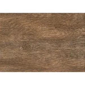 Obrazek Magnetia Wood 25/36