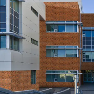 Obrazek Elastyczna cegła Brick Siena