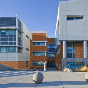 Obrazek Elastyczna cegła Brick Siena