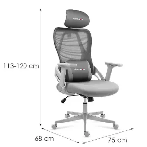 Obrazek Fotel Gamingowy Huzaro Combat 2.7 Grey