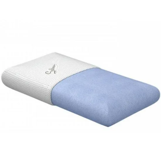 Obrazek Poduszka Ergo Talalay 62x32x11 H2 Aloe Vera