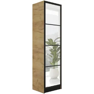 Obrazek Szafa Eden 1d 53 Dąb Craft Złoty 1