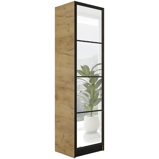 Obrazek Szafa Eden 1d 53 Dąb Craft Złoty 1