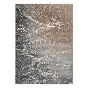 Obrazek Dywan FD Lida Corin 1,6/2,3 popiel