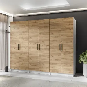 Obrazek Szafa X3 Gold 2d Biały/Dąb Craft Złoty