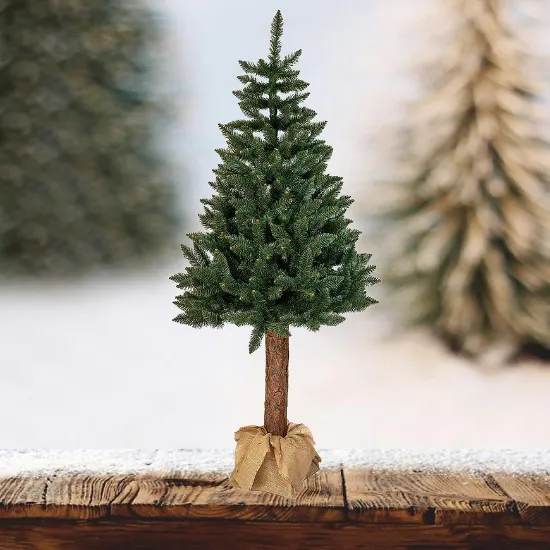 Obrazek Choinka świerk na pniu 220 cm