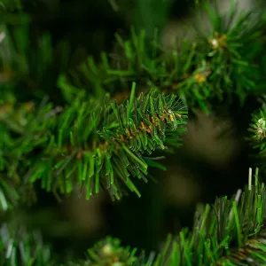 Obrazek Choinka sosna extra 250 cm.