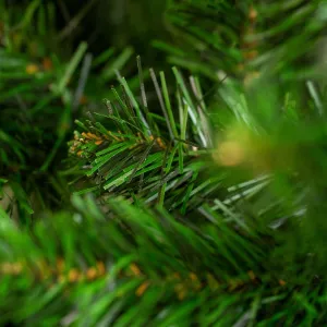 Obrazek Choinka sosna extra 250 cm.