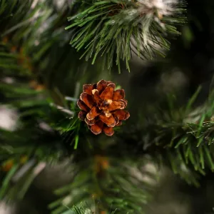 Obrazek Choinka sosna szyszka 150 cm