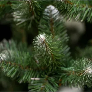 Obrazek Choinka sosna szyszka 220 cm