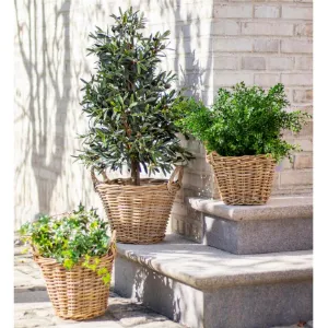 Obrazek Doniczka Kari Ratan 25