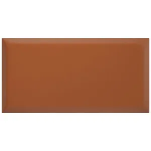 Obrazek Panel tapicerowany 30/60 mocca