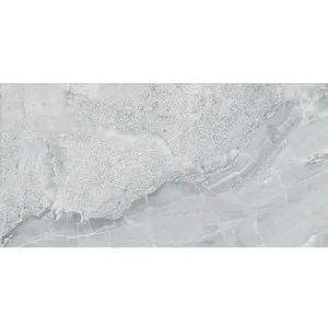 Obrazek Panel ścienny SPC Ash Grey VILO 60x120cm 4mm