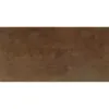 Obrazek Panel ścienny SPC Rusty VILO 30x60cm 4mm