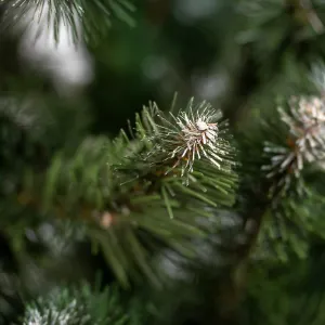 Obrazek Choinka Sosna z końcówką białą 150 cm