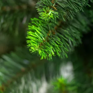 Obrazek Choinka sosna z końcówką zieloną 80 cm.