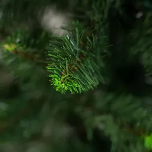 Obrazek Choinka sosna z końcówką zieloną 120 cm.