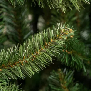 Obrazek Choinka świerk naturalny 250cm