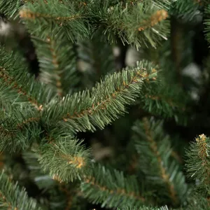 Obrazek Choinka świerk naturalny 250cm