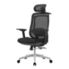 Obrazek Fotel Biurowy Angel Rosa 2.0 Czarny