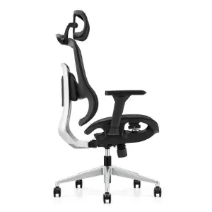 Obrazek Fotel Biurowy Angel Homer S