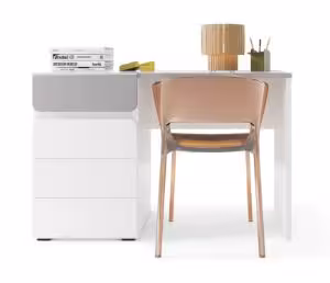 Obrazek Biurko Flexi 1D1S FLXB01