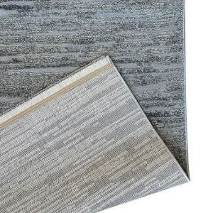 Obrazek Dywan Frisee Lucca 1,6/2,3  S806a ciemny szary