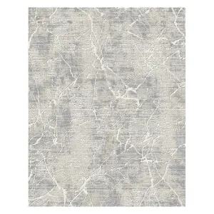 Obrazek Dywan Aqua 1,5/2,2 11700a 33168 szary