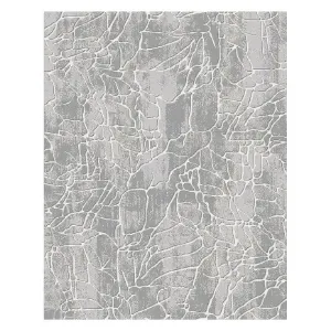 Obrazek Dywan Aqua 1,5/2,2 12147a 33148 szary