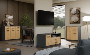 Obrazek Szafka RTV Polis 1D2S antracyt/dąb artisan