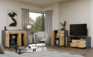 Obrazek Szafka RTV Polis 1D2S antracyt/dąb artisan