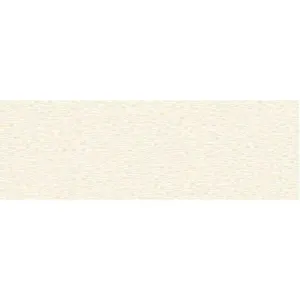 Obrazek Glazura Detroit beige 20/60